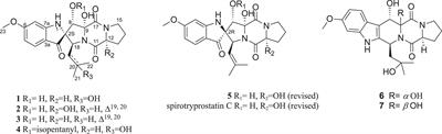 Antibacterial spirooxindole alkaloids from Penicillium brefeldianum inhibit dimorphism of pathogenic smut fungi